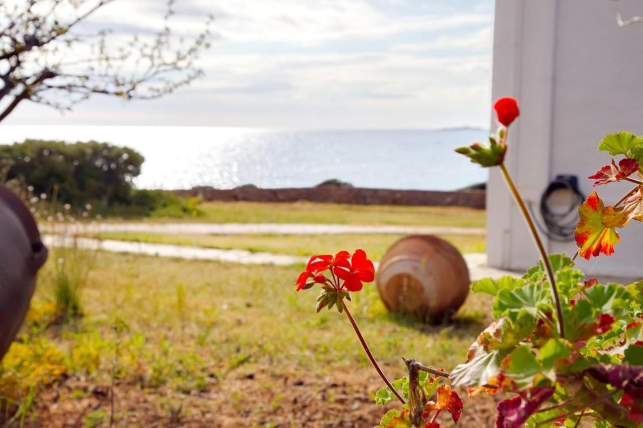 Aroura Homes 4Br Beachfront Villa Szpécesz Kültér fotó